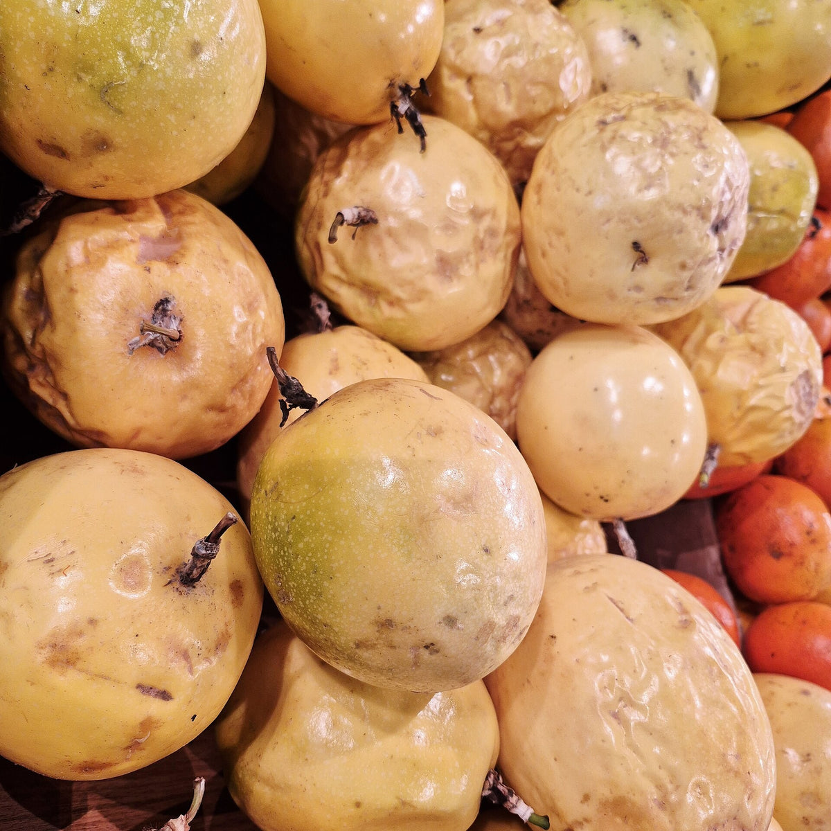 Jamaican Golden Passion Fruit live plant pack of 1