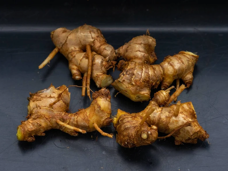 Shampoo Ginger Rhizomes (Roots)