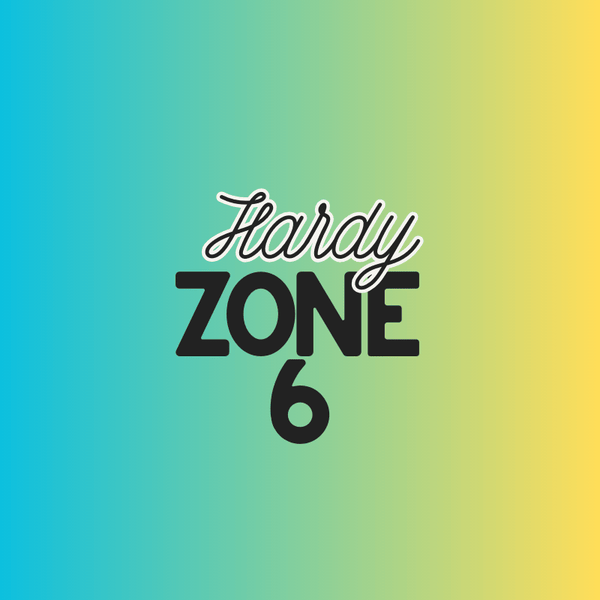 Cold-Hardy Plants for Zone 6