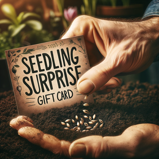 Seedling Surprise Gift Card