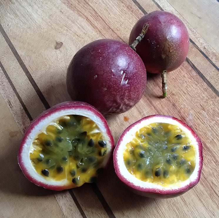 Cold Hardy Panama Red Passion Fruit