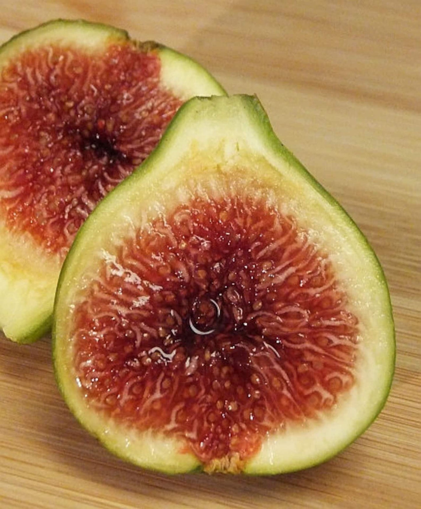 Live Green Ischia Fig Tree (5-9") - Verte Ficus Carica - Cold Hardy Zone 7-10 - Sweet Strawberry Jam Flavor