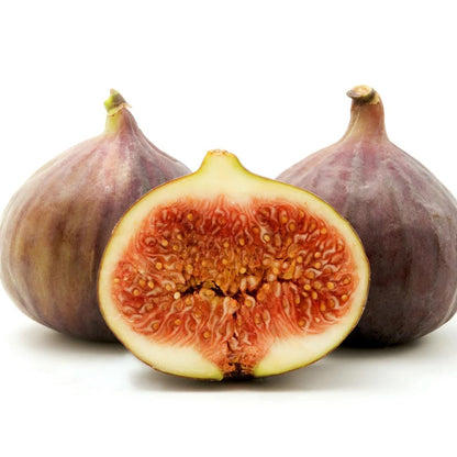 Live Brown Turkey Fig Tree (5-9") - Ficus carica - Cold Hardy Zone 7-9 - Sweet Double Harvest Fruit