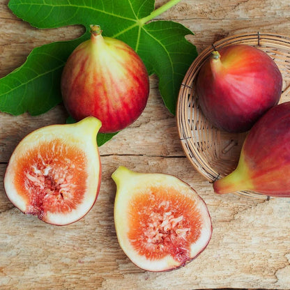 Live Brown Turkey Fig Tree (5-9") - Ficus carica - Cold Hardy Zone 7-9 - Sweet Double Harvest Fruit