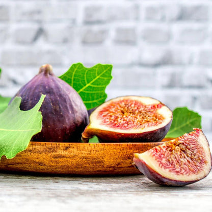 Live Chicago Hardy Fig Tree (5-9") - Ficus carica "Bensonhurst Purple" - Most Cold Hardy Fig Zone 5-10 - Sweet Edible Fruit