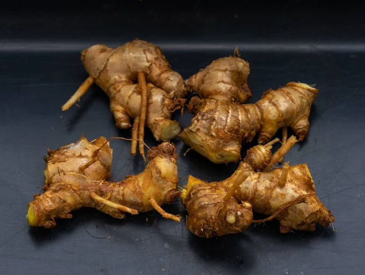 Shampoo Ginger Rhizomes (Roots) – photo 7