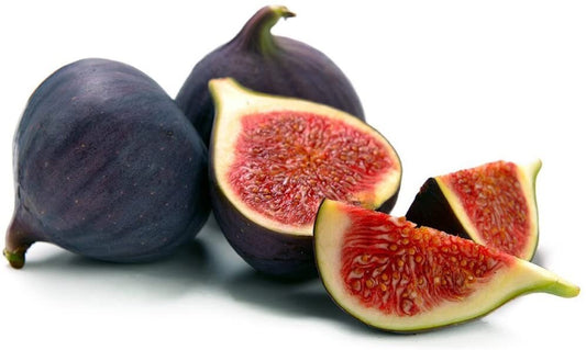 Where to plant LSU Purple Fig Trees – Florida Plants Nursery