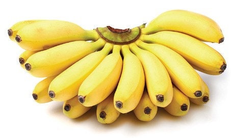 Mysore Banana