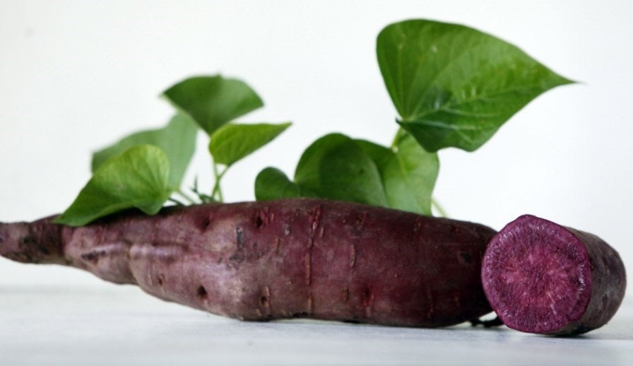 Myanmar Purple Sweet Potato