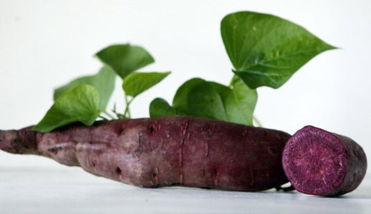 Myanmar Purple Sweet Potato
