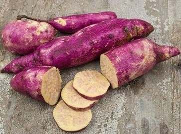 Purple Sweet Potato