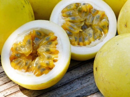 Yellow Passion Fruit